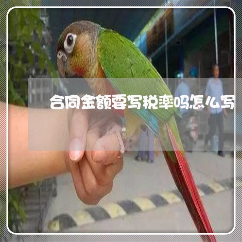 合同金额要写税率吗怎么写/2023022683058 合同金额要写税率吗怎么写/2023022683058
