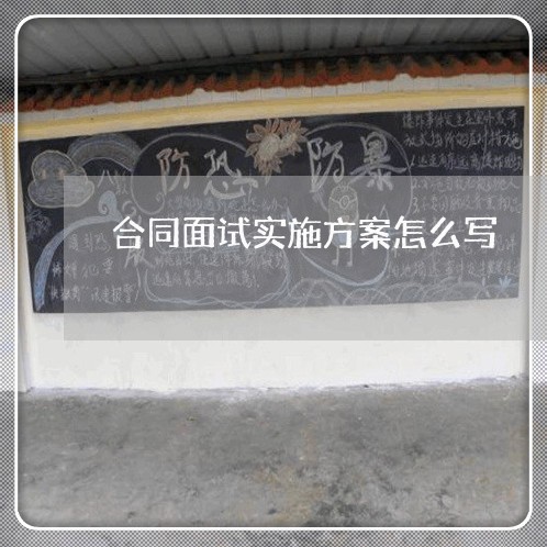 合同面试实施方案怎么写/2023041254939