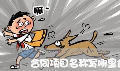 合同项目名称写哪里合适/2023042284948