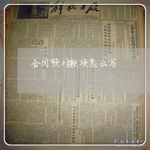 合同预付款项怎么写/2023040418269