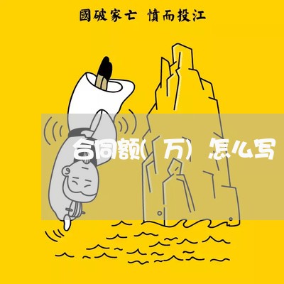 合同额(万)怎么写/2023040149683