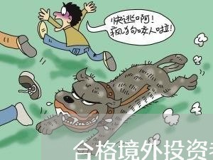 合格境外投资者法规 合格境外投资者法规