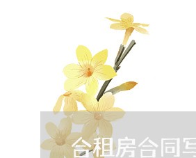 合租房合同写几个人名字/2023061783626