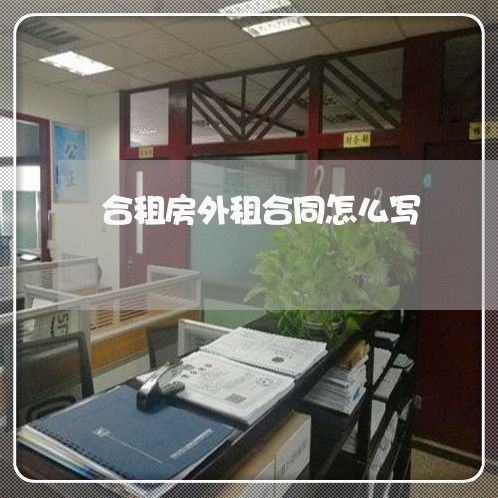合租房外租合同怎么写/2023042062715