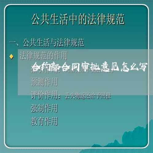 合约部合同审批意见怎么写/2023022633836 合约部合同审批意见怎么写/2023022633836