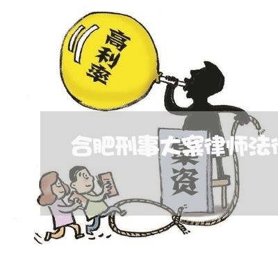 合肥刑事大案律师法律咨询