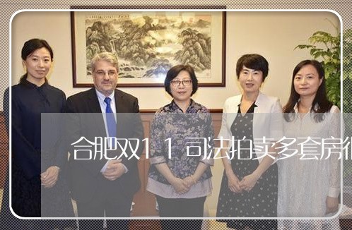合肥双11司法拍卖多套房很抢手