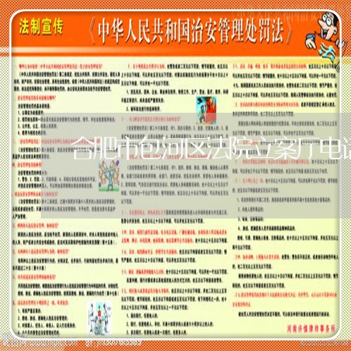 合肥市包河区法院立案厅电话