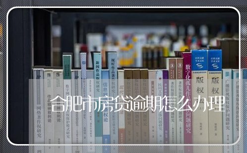 合肥市房贷逾期怎么办理/2023041957480