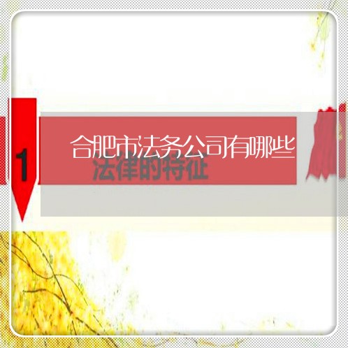 合肥市法务公司有哪些 合肥市法务公司有哪些