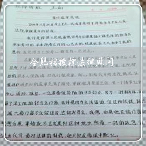 合肥招投标法律顾问/2023071533845