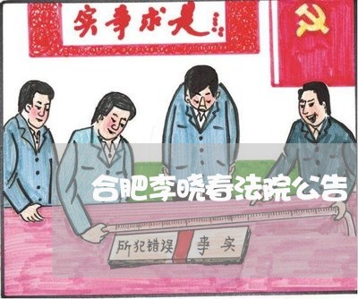 合肥李晓春法院公告