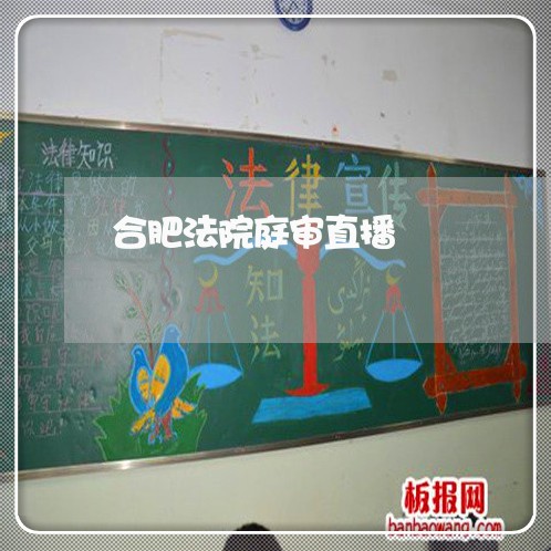 合肥法院庭审直播 合肥法院庭审直播