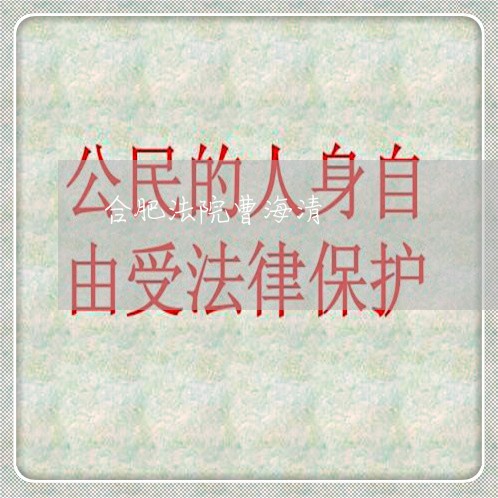 合肥法院曹海清 合肥法院曹海清