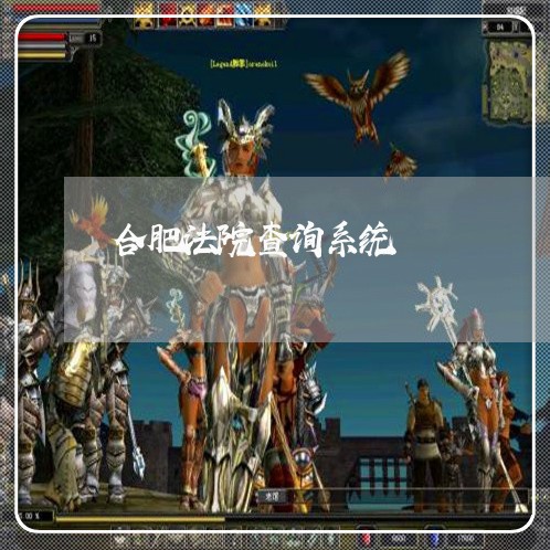 合肥法院查询系统