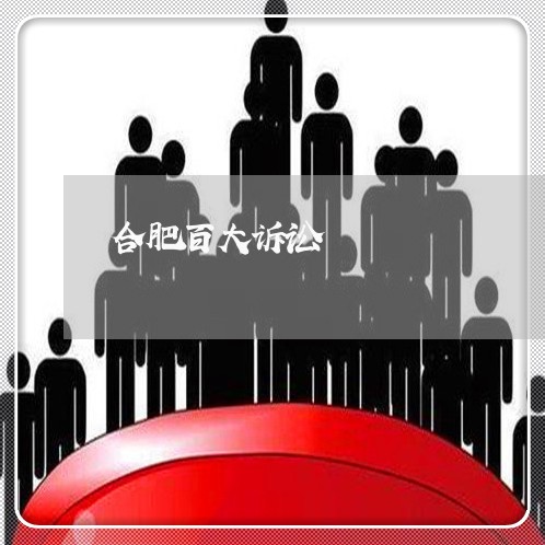合肥百大诉讼 合肥百大诉讼