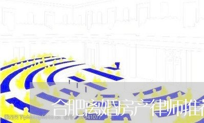 合肥离婚房产律师推荐机构/2023060982957