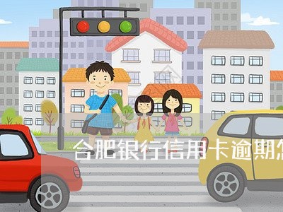 合肥银行信用卡逾期怎么办/2023062124715