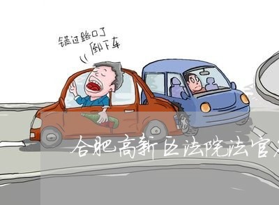 合肥高新区法院法官名录