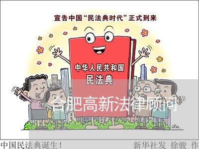 合肥高新法律顾问/2023061726481 合肥高新法律顾问/2023061726481