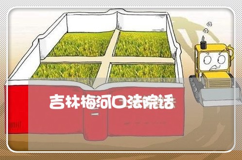 吉林梅河口法院话