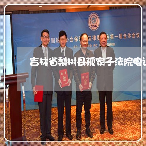 吉林省梨树县孤家子法院电话 吉林省梨树县孤家子法院电话
