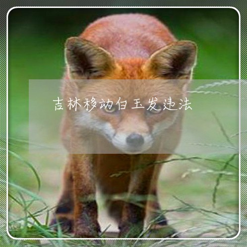 吉林移动白玉发违法 吉林移动白玉发违法