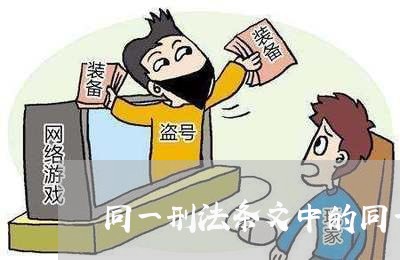 同一刑法条文中的同一概念