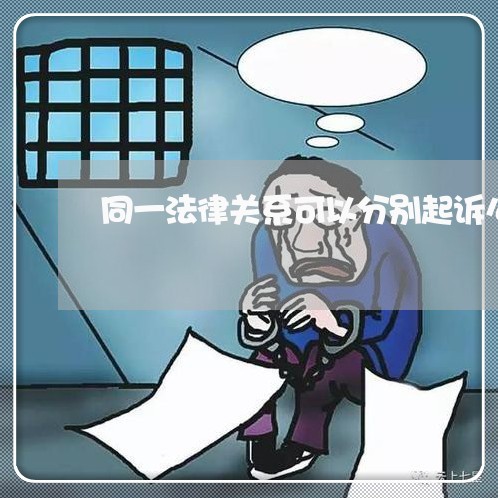 同一法律关系可以分别起诉么