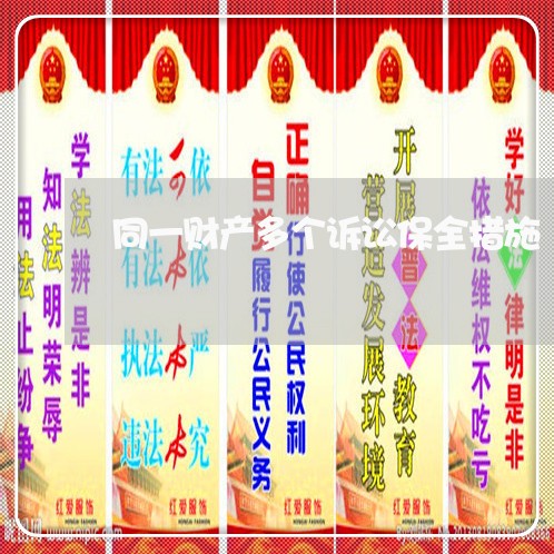 同一财产多个诉讼保全措施
