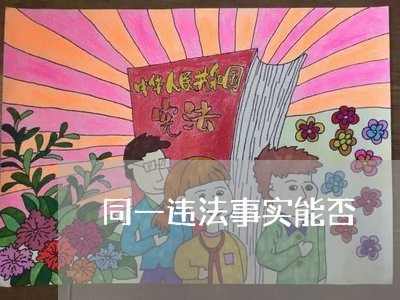 同一违法事实能否