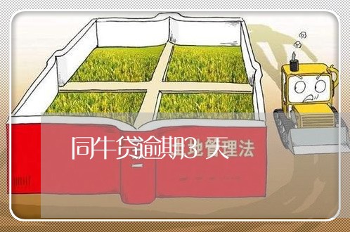 同牛贷逾期3天