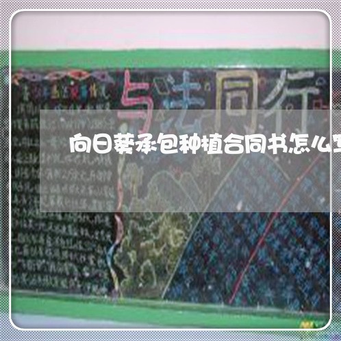 向日葵承包种植合同书怎么写/2023060636379 向日葵承包种植合同书怎么写/2023060636379
