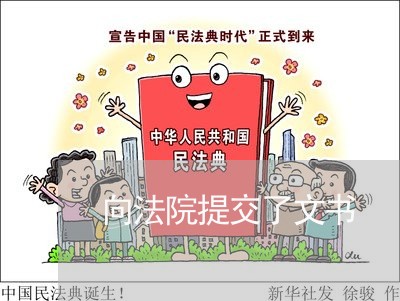 向法院提交了文书 向法院提交了文书