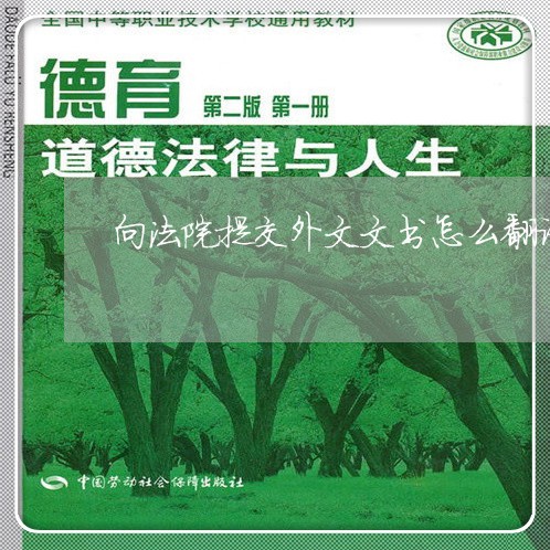 向法院提交外文文书怎么翻译
