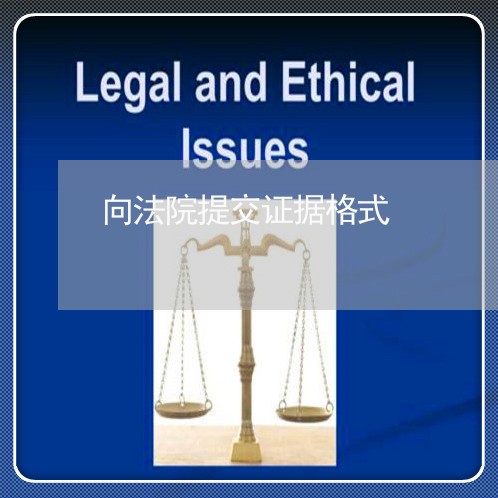 向法院提交证据格式 向法院提交证据格式