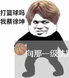 向那一级法院行政诉讼区政府