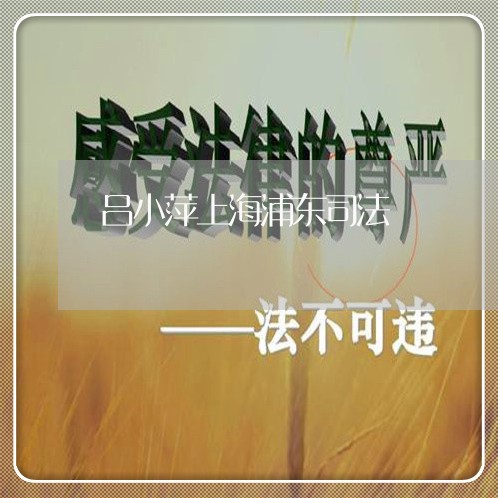 吕小萍上海浦东司法 吕小萍上海浦东司法
