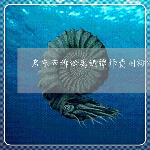 启东市诉讼离婚律师费用标准