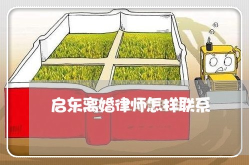 启东离婚律师怎样联系 启东离婚律师怎样联系