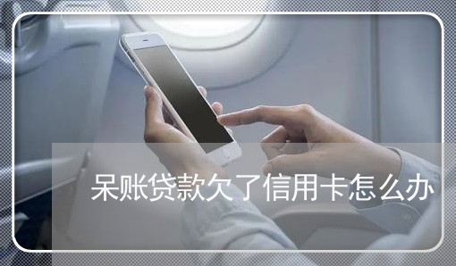 呆账贷款欠了信用卡怎么办 呆账贷款欠了信用卡怎么办