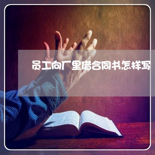员工向厂里借合同书怎样写/2023060760715