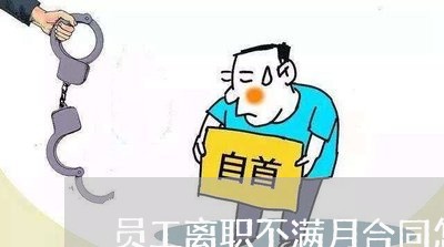 员工离职不满月合同怎么写/2023011738069 员工离职不满月合同怎么写/2023011738069