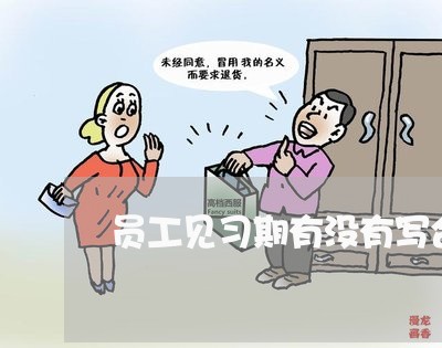 员工见习期有没有写合同/2023041692513 员工见习期有没有写合同/2023041692513