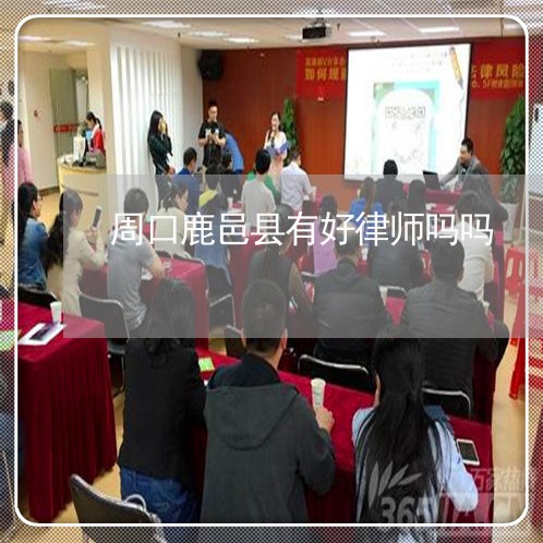 周口鹿邑县有好律师吗吗 周口鹿邑县有好律师吗吗