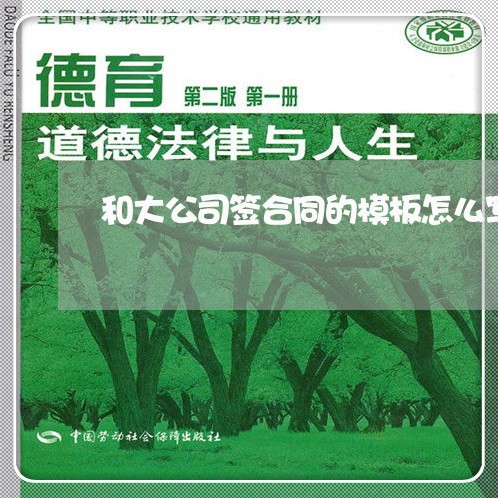 和大公司签合同的模板怎么写/2023060697948