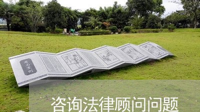 咨询法律顾问问题