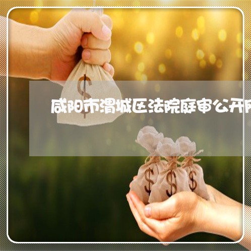 咸阳市渭城区法院庭审公开网
