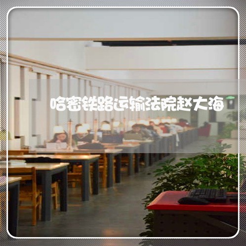 哈密铁路运输法院赵大海
