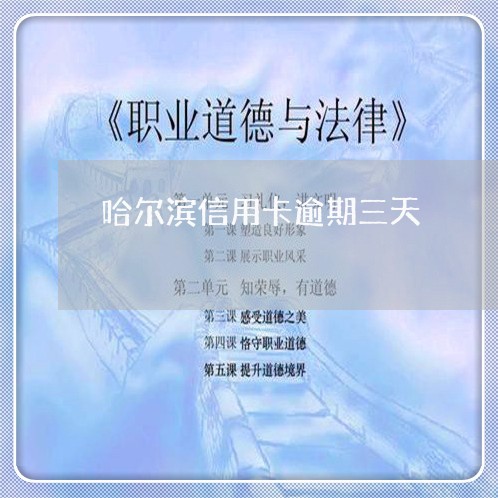 哈尔滨信用卡逾期三天/2023061726259 哈尔滨信用卡逾期三天/2023061726259